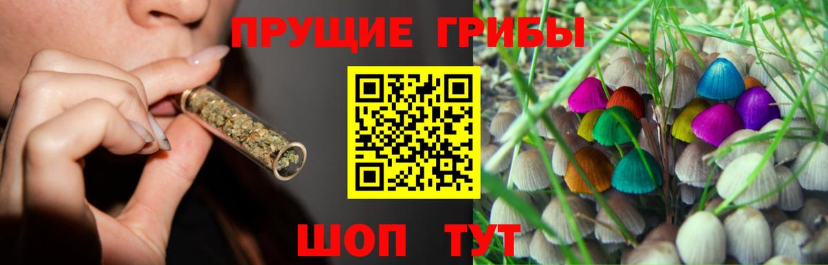 Видное  Галлюциногенные грибы мухоморы  Вход с VPN  Псилоцибиновые грибы Magic Shrooms 
